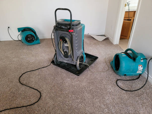 Best Water damage restoration near me  in Morocco, IN