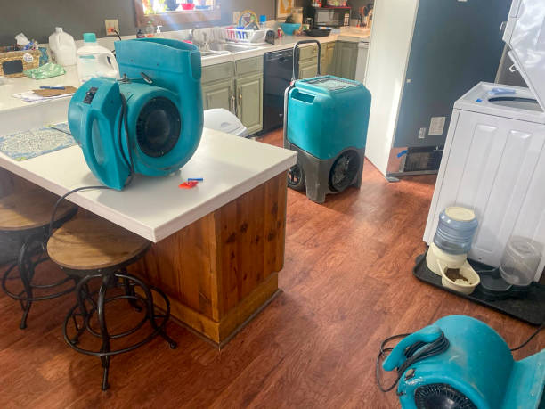 Best Residential water damage restoration  in Morocco, IN