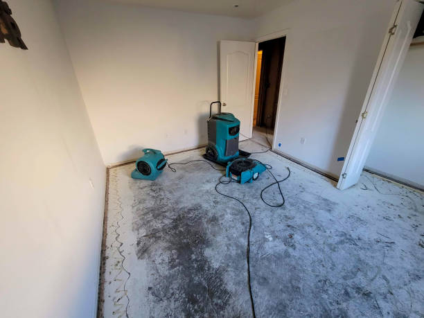 Best Water damage restoration company  in Morocco, IN