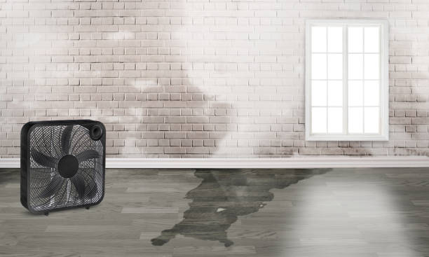 Best Fire Damage Restoration  in Morocco, IN