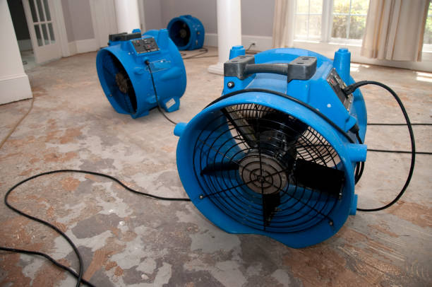 Best Flood restoration services  in Morocco, IN