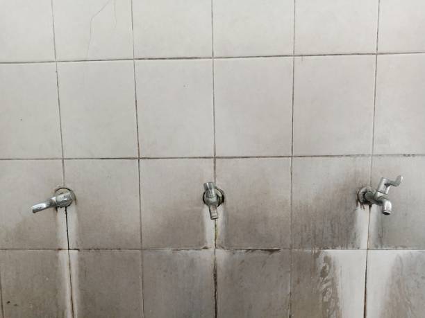 Water damage restoration process in IN