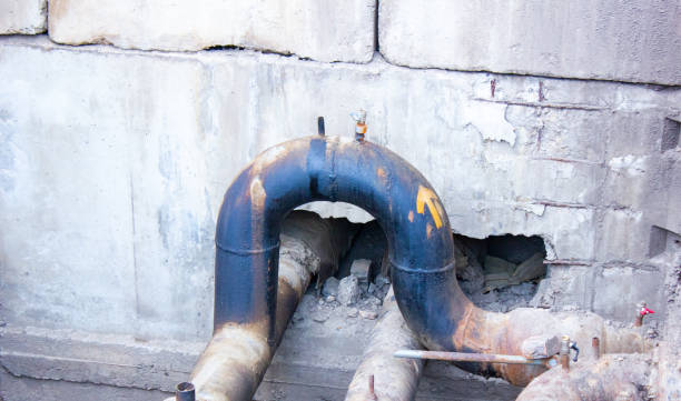 Best Mold removal after water damage  in Morocco, IN